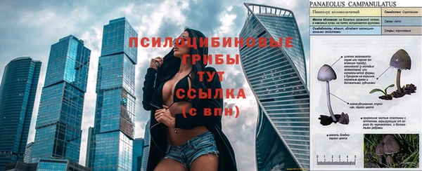 мяу мяу кристалл Ельня